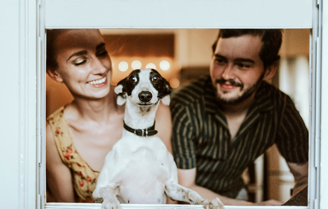 First time pet owner with puppy at home