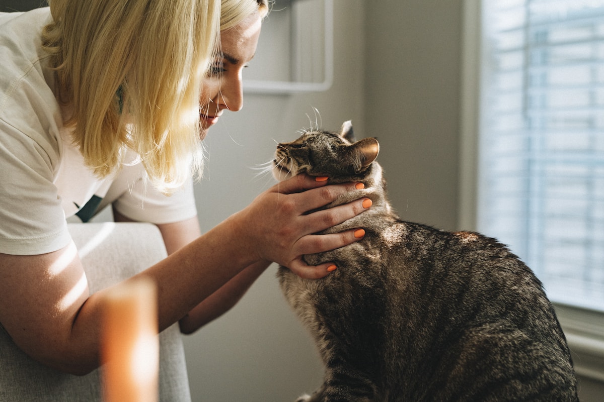 Dog and cat at veterinary clinic representing pet insurance