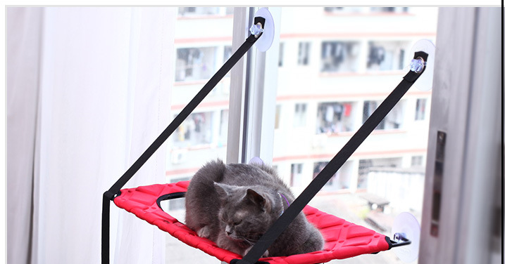 Indoor Cat Window Bed - Snuggly, Sunny & Fun